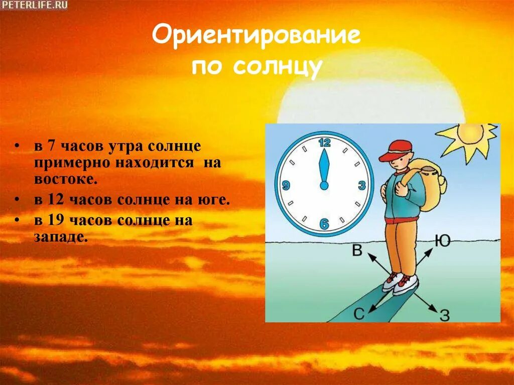 Что сегодня идет по солнцу. Ориентирование по солнцу. Способы ориентирования по солнцу. Ориентирование по солнцу картинки. Ориентирование по солнцу и тени.