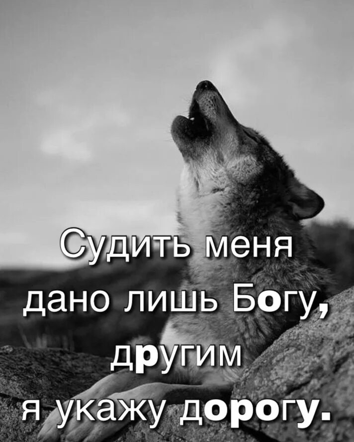 Бог всего лишь. Судить меня дано лишь богу другим. судить меня дано лишь богу а остальным я укажу дорогу. судить меня дано лишь богу другим я укажу дорогу картинка. судить меня дано лишь богу а остальным я укажу дорогу картинки.