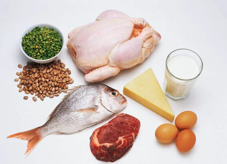 Белки продукты. Белковая пища. Белки в продуктах питания. Пищевые источники белка. Белок мяса птицы