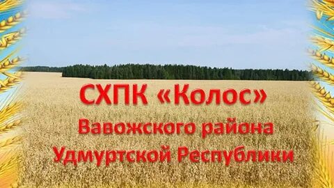 Колхоз колос