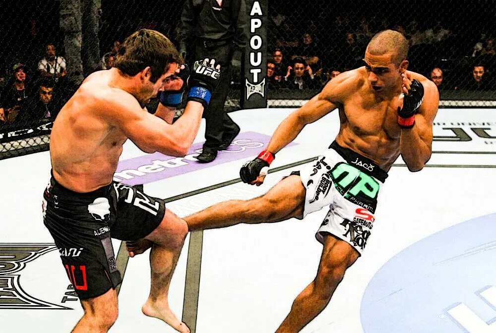 можно ли в боксе бить ногами. хай кик техника. бэк кик удар. ринат гарифуллин тайский бокс. запрещенные приемы в тайском боксе.