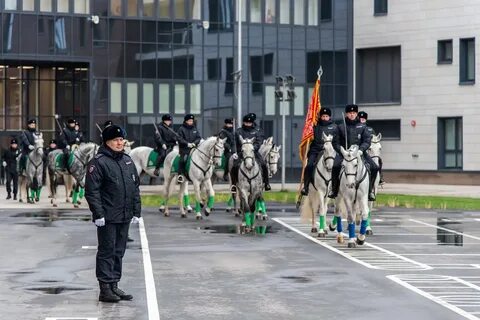 Открытие 2 полка