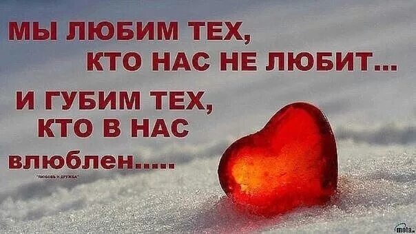 Всем кто с нами