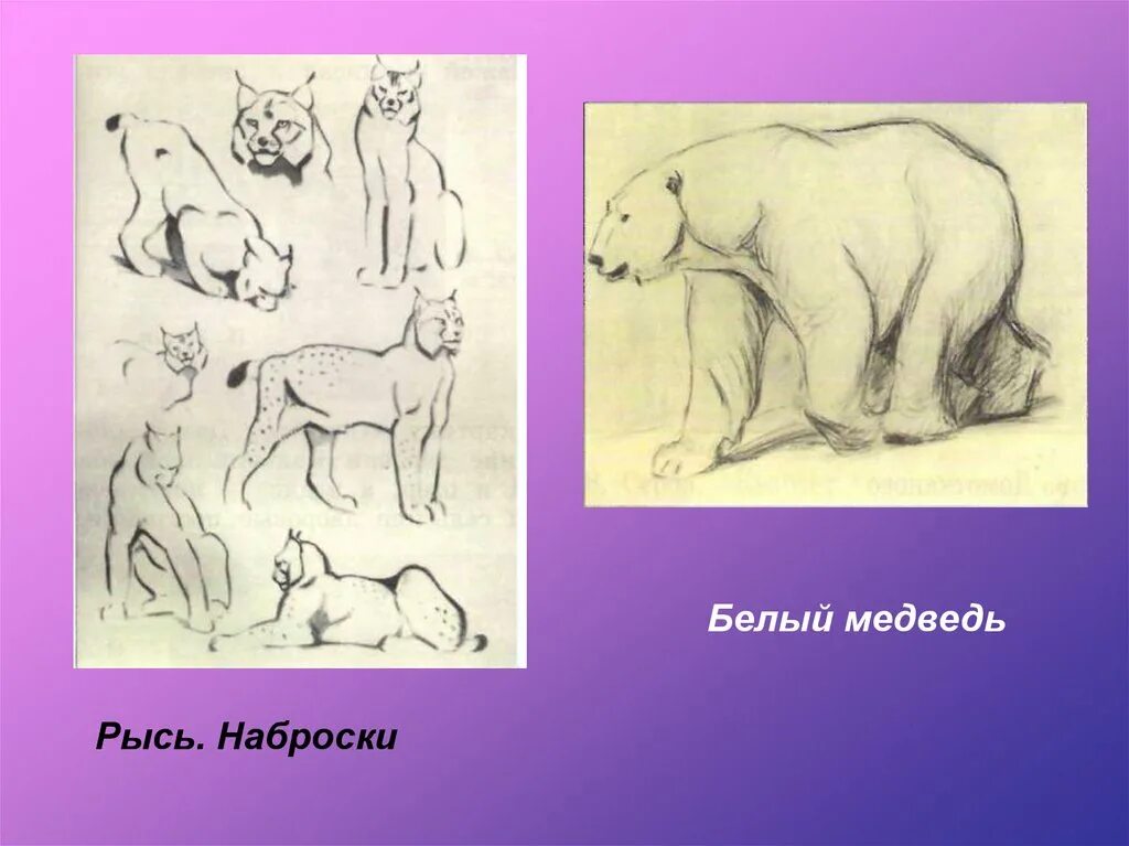 Образ животного 6 класс