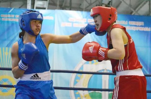 Бокс чемпионат казахстана