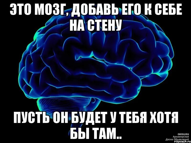 Мозг Мем. Мозг картинка. Смешной мозг. Шутки про мозги. Пожелать ума