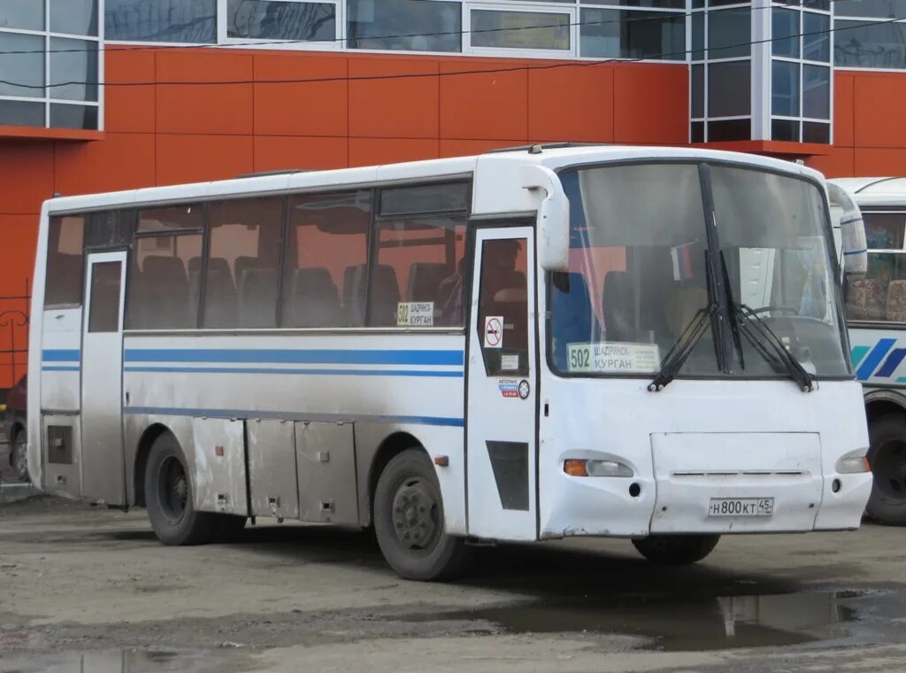 ПАЗ 4230. ПАЗ 4230 Курган. ПАЗ 4230-02. ПАЗ 4230-62. Сайт автобус курган