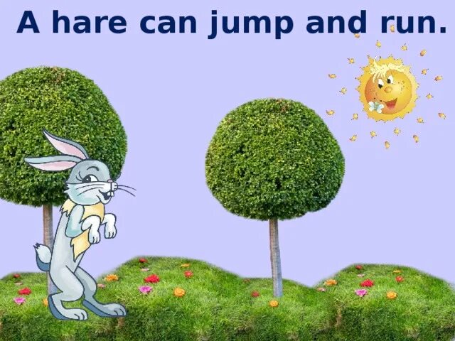 A Hare can Run.