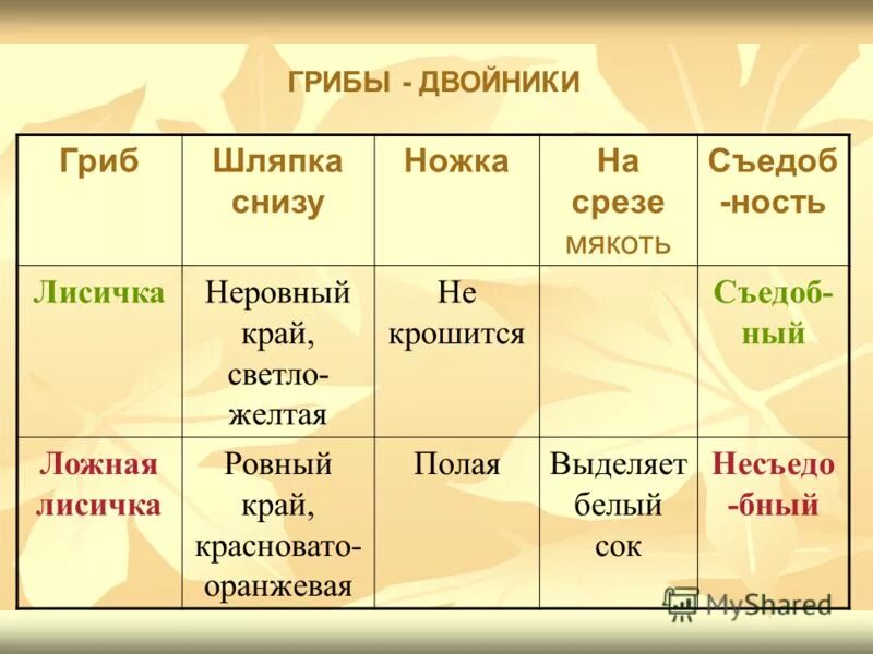 Какие есть грибы двойники примеры Презентация на тему: "ГРИБЫ СЪЕДОБНЫЕ И НЕСЪЕДОБНЫЕ. Урок по учебнику Плешакова