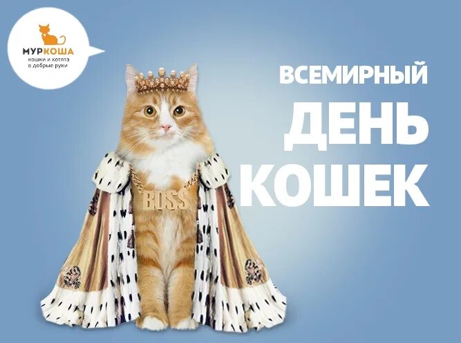 Всемирный день котиков. Международный день кошек. День кота. Всемирный день котов.