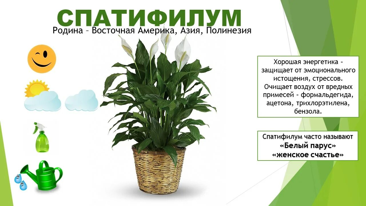 Какую землю любят цветы