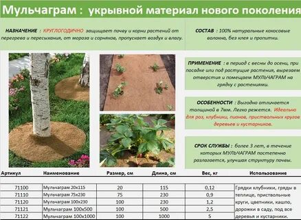 Какой плотности укрывной материал для клубники