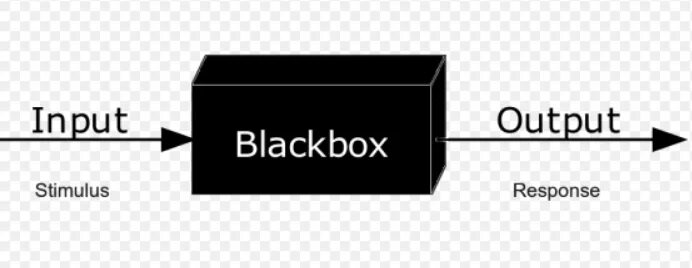 Output only. Черный ящик. Black Box input. Модель черного ящика. Черный ящик input output.