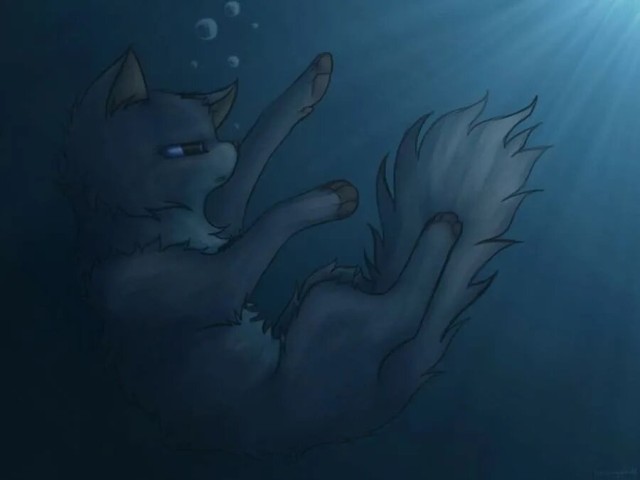 Коты воители кот тонет. Коты воители синяя звезда тонет. Коты воители огнехвост. Коты воители кот тонет. Коты воители огнехвост арт.