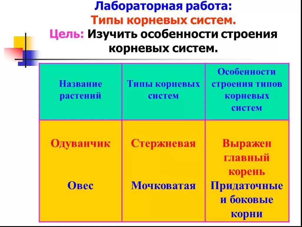 Таблица типы корневых систем - Распиновки.ру