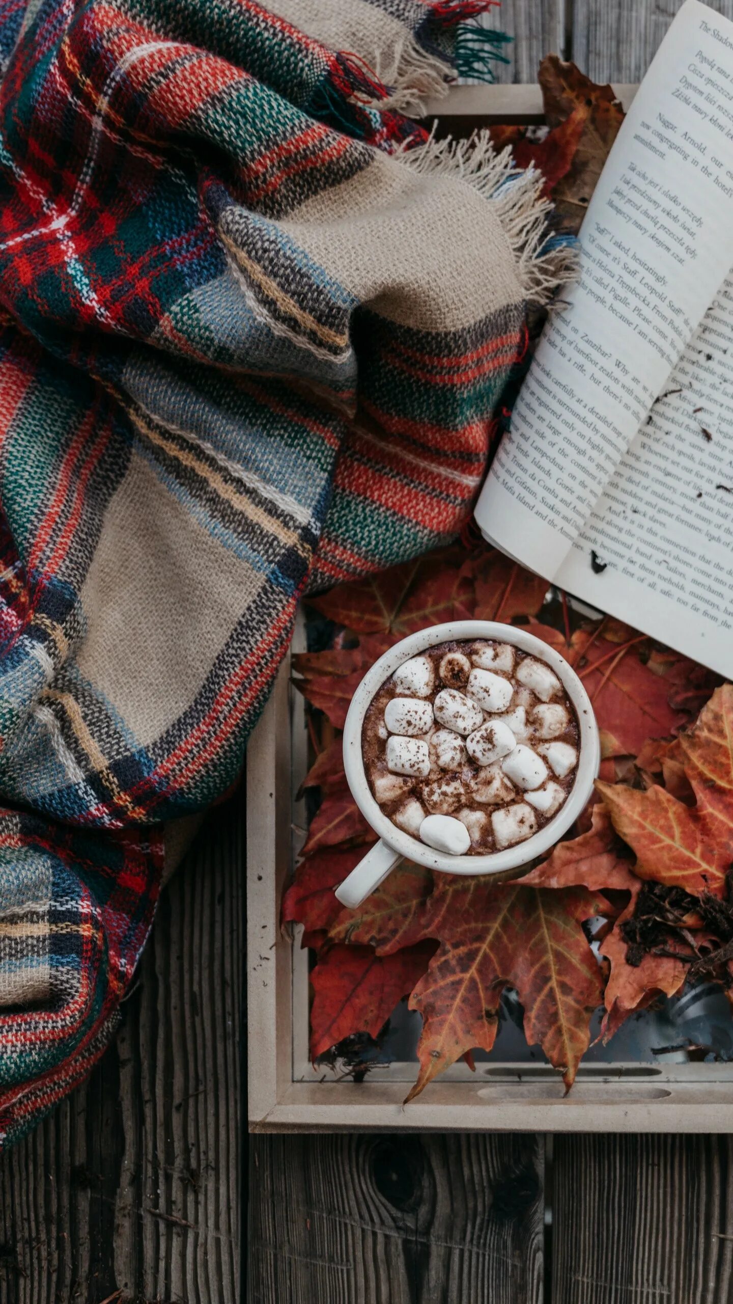 осень уют. уютный теплый плед. уютный плед. уютный телефон. красивые уютные картинки.