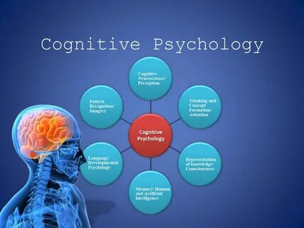 i) Cognitive Neuroscience 