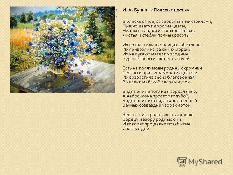 Бунин полевые цветы. Иван алексеевич бунин полевые цветы. Бунин рабочие листы полевые цветы. Пышно цветут дорогие цветы бунин. Иван алексеевич бунин полевые цветы иллюстрация.