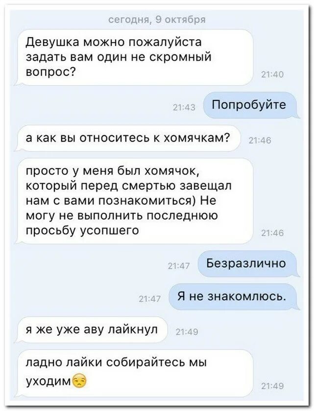 Нужно общение с девушкой. Темы для разговора с девушкой. оригинальная переписка с девушкой. переписка в интернете с девушкой. темы для разговора с девушкой по переписке.