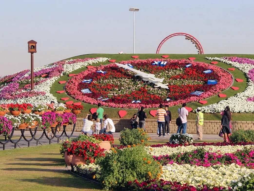 Дубайский парк. Миракл Гарден Дубай. Сад чудес (Miracle Garden). Сад чудес в Дубае. Цветочный парк в Дубае.