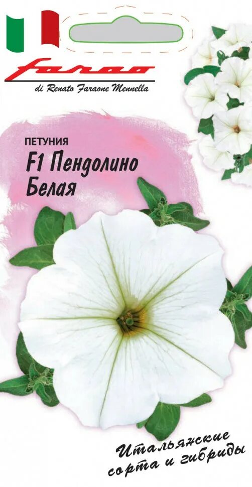 Петуния пендолино отзывы форум фото. Петуния пендолино отзывы форум фото. Петуния пендолино отзывы форум фото. Петуния сорт пендолино. Петуния пендолино отзывы форум фото.