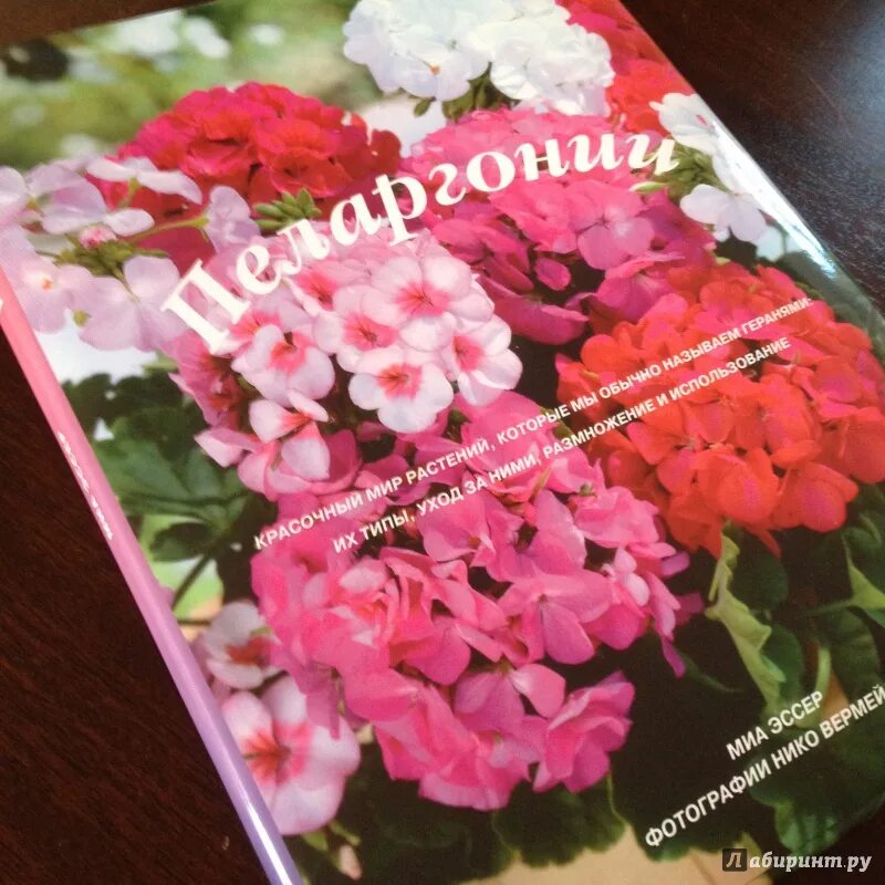 Герань книга. Миа эссер. Пеларгонии. Книги о пеларгониях. Герань Миа. Книги про герань.