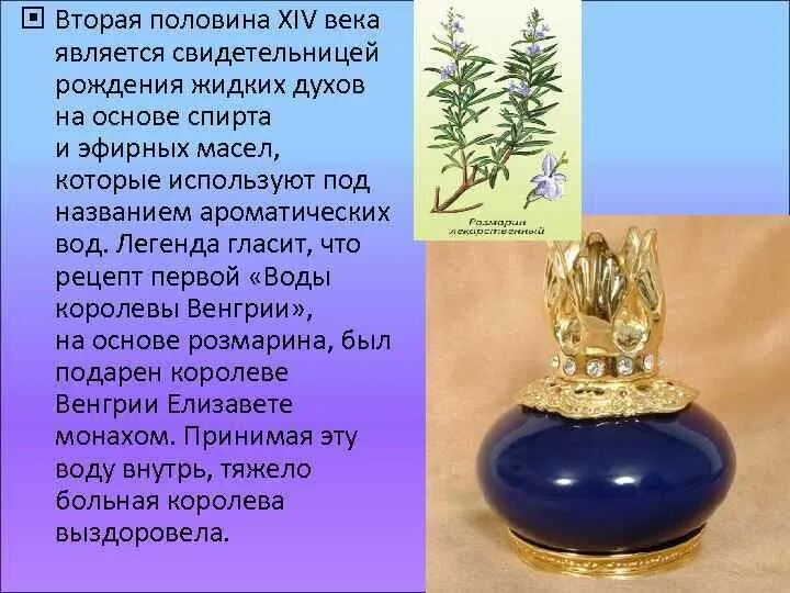 К xiv в относится