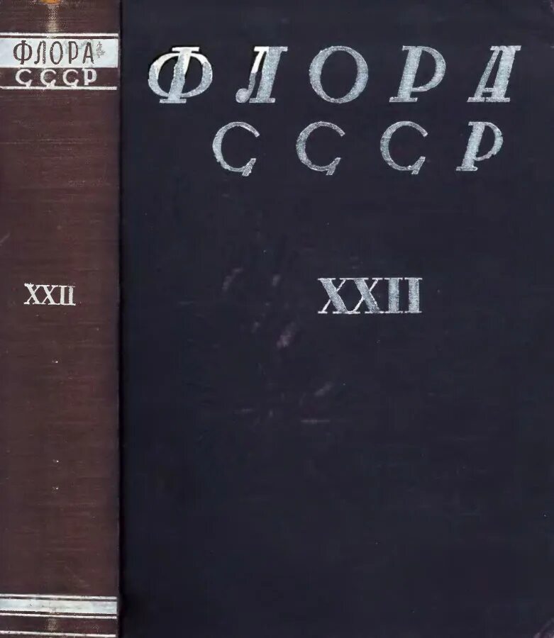 Бобров е б. Определитель Флоры СССР. Книга цветы 1964.