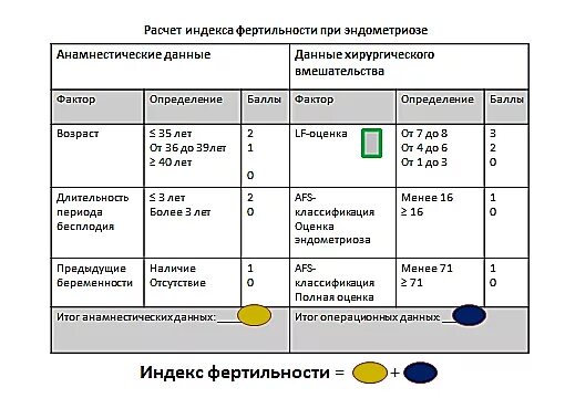 Что такое окно фертильности в календаре