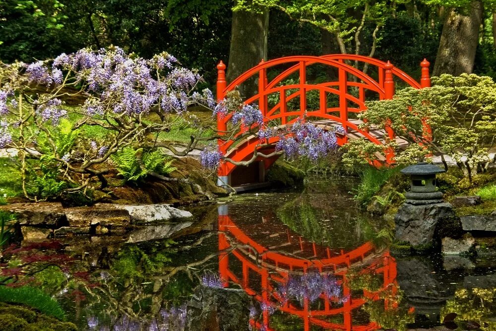 краснодар восточный сад управляющая