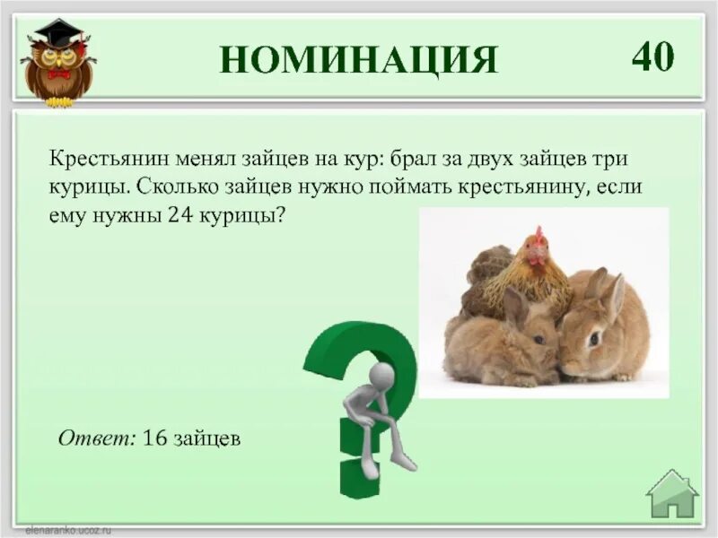 Сколько Зайцев. Взял двух Зайцев. Поймать двух Зайцев книга. За 3 зайцами. Куру беру