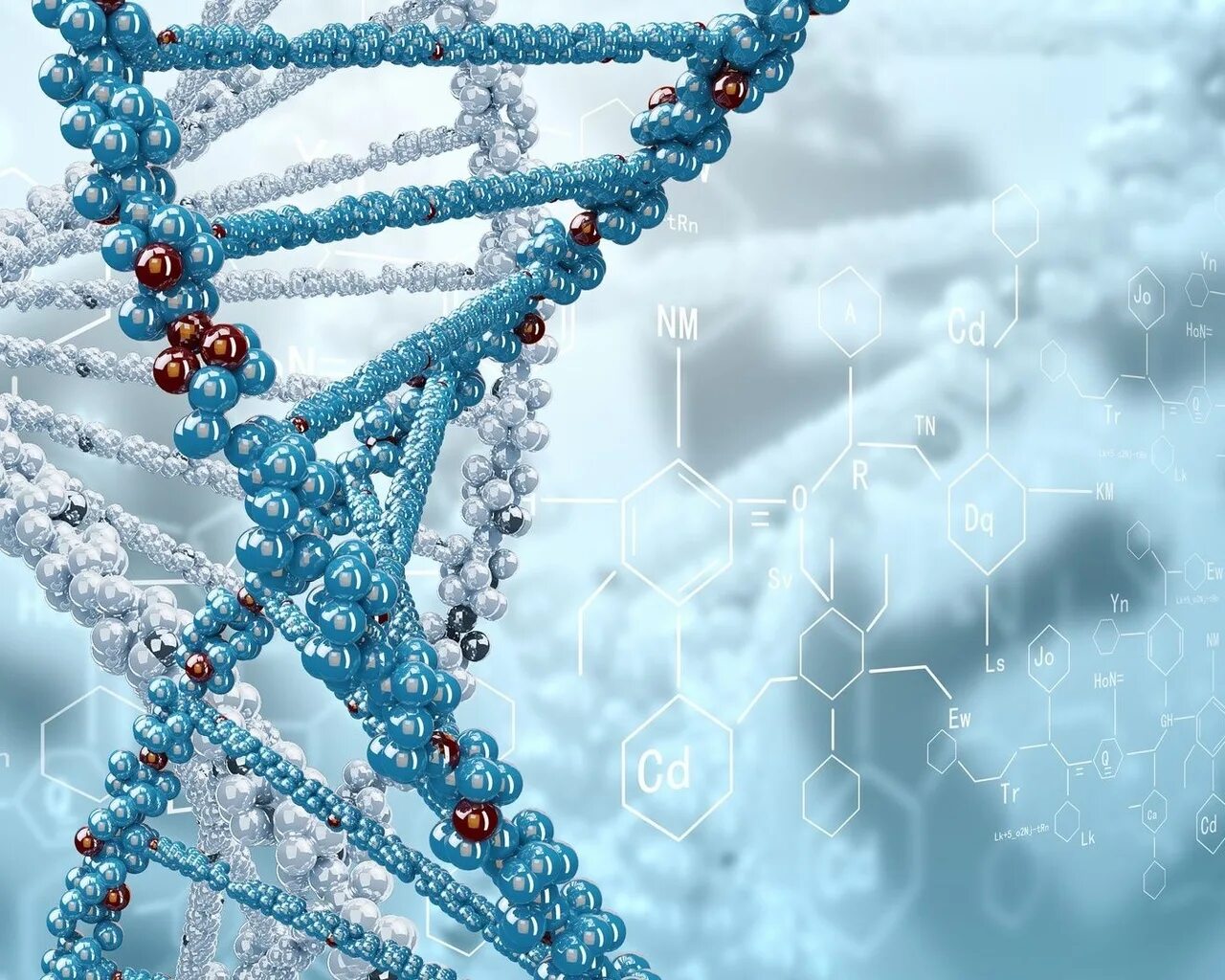 ДНК молекулярная биология. ДНК DNA. Ген цепочка ДНК. Молекула ДНК биология.