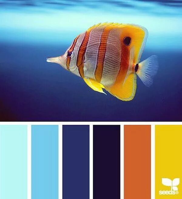 Current color
