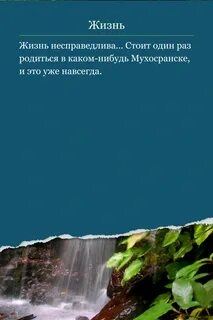 Несправедливая жизнь цитаты
