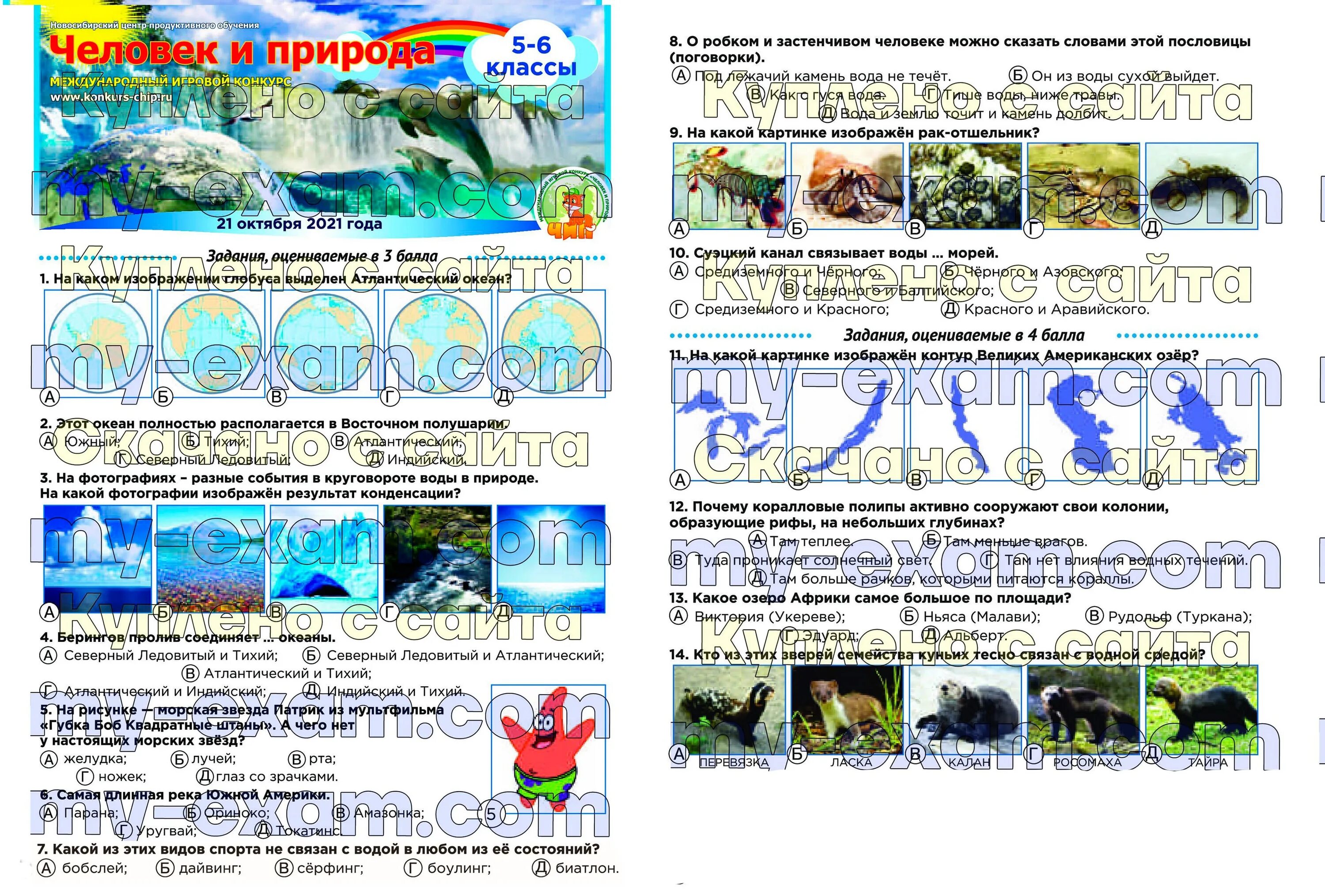 Чип человек и природа 3 класс. Чип человек и природа 3 класс