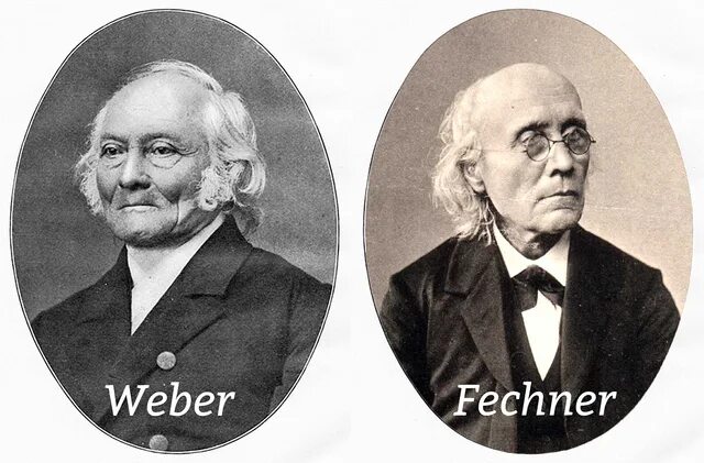 Эрнст Вебер. Фехнер психофизика. Б г вебер