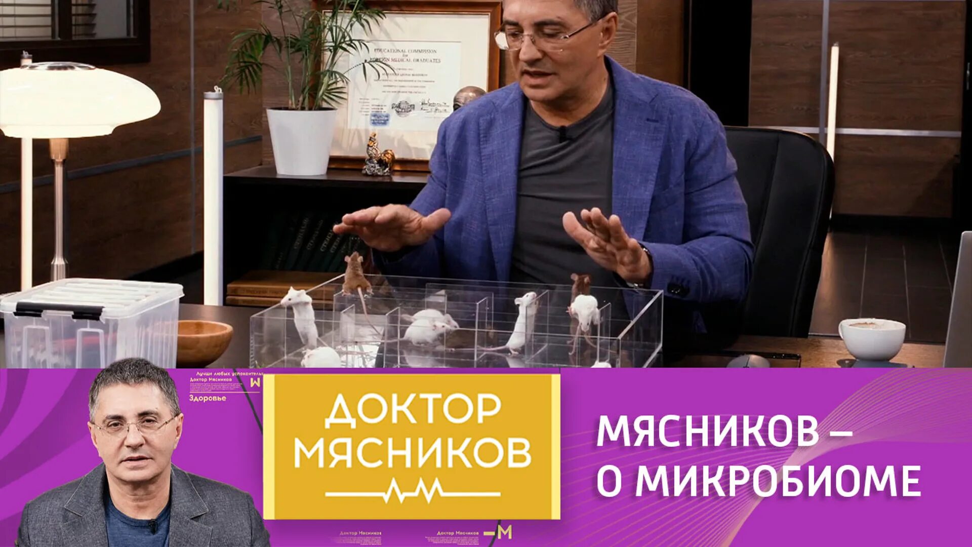 Канал россии доктор мясников. Доктор Мясников 29 05 2021. РТР доктор Мясников. Доктор Мясников 2020. Доктор Мясников эфир Россия 1.