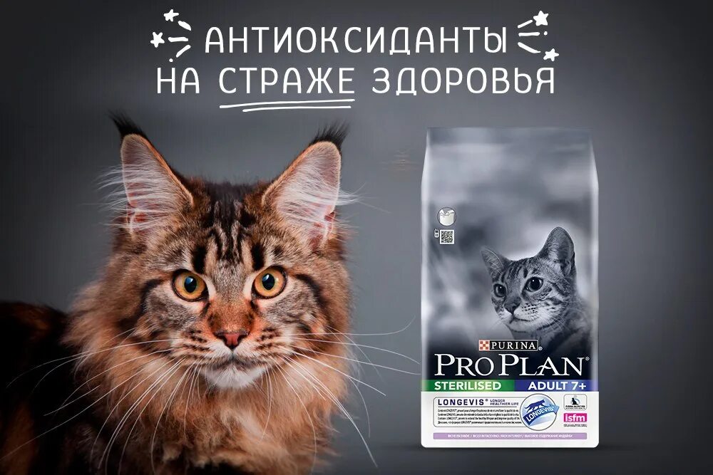 Проплан для кошек live clear. Проплан реклама. Реклама корма Проплан для кошек. Проплан баннер. Корма Pro Plan баннер.