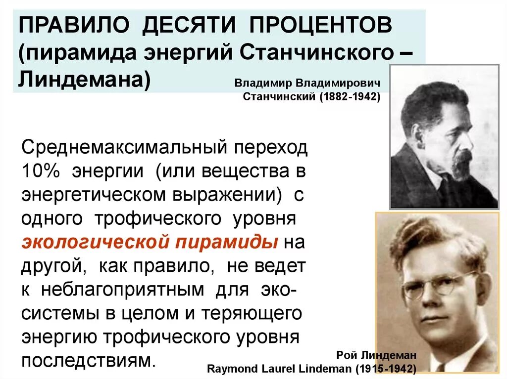 Правило 10 общество. Правило 10 процентов Линдемана. Правило 10%. Правило Линдемана экология. Правило Линдемана биология.