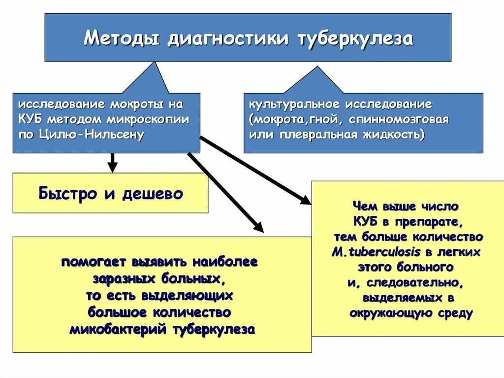 Нмо тесты туберкулез. Методы исследования мокроты.диагностика туберкулеза. Алгоритм обследования на туберкулез. Методы исследования мокроты на туберкулез. Методы исследования мокроты при туберкулезе.