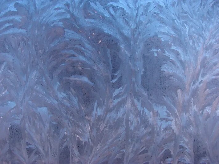 Зимние узоры. Морозцы 4. Изморозь на окне. Эффект замерзшего стекла. Морозное окно.