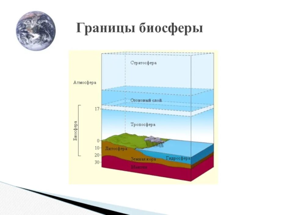 Живая оболочка земли где существует жизнь. Границы биосферы атмосфера гидросфера литосфера. Границы распространения оболочки биосферы. Границы распространения биосферы схема. Рис 103 границы биосферы.