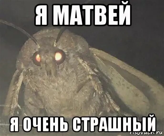 Страшно очень страшно мы не знаем. Страшно очень страшно мы не знаем