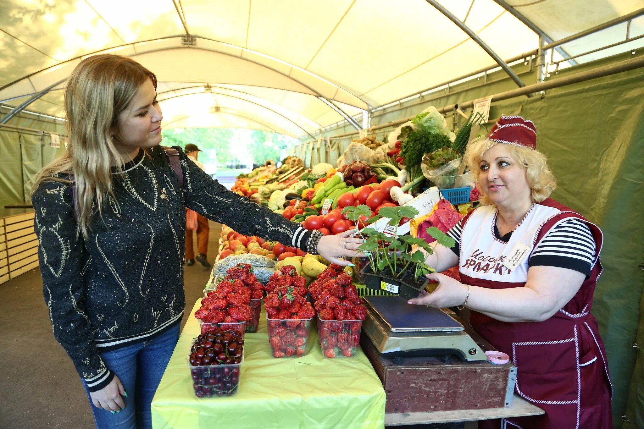 Продавщица на рынке. Торговля на рынке. Ярмарка торговля. Продавец на рынке.