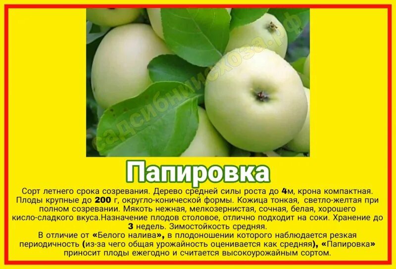Index of /collect/obst/apfel