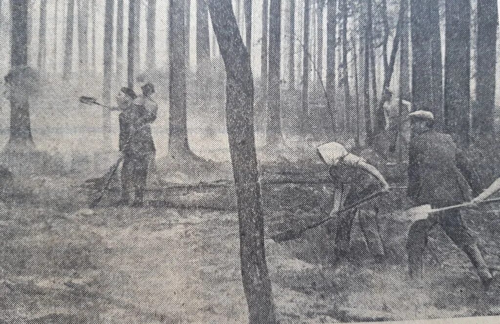 Пожары в подмосковье в 1972 году. Торфяные пожары 1972. Пожары в подмосковье в 1972 году. Пожар в ссср 1972. Пожары в подмосковье в 1972 году.