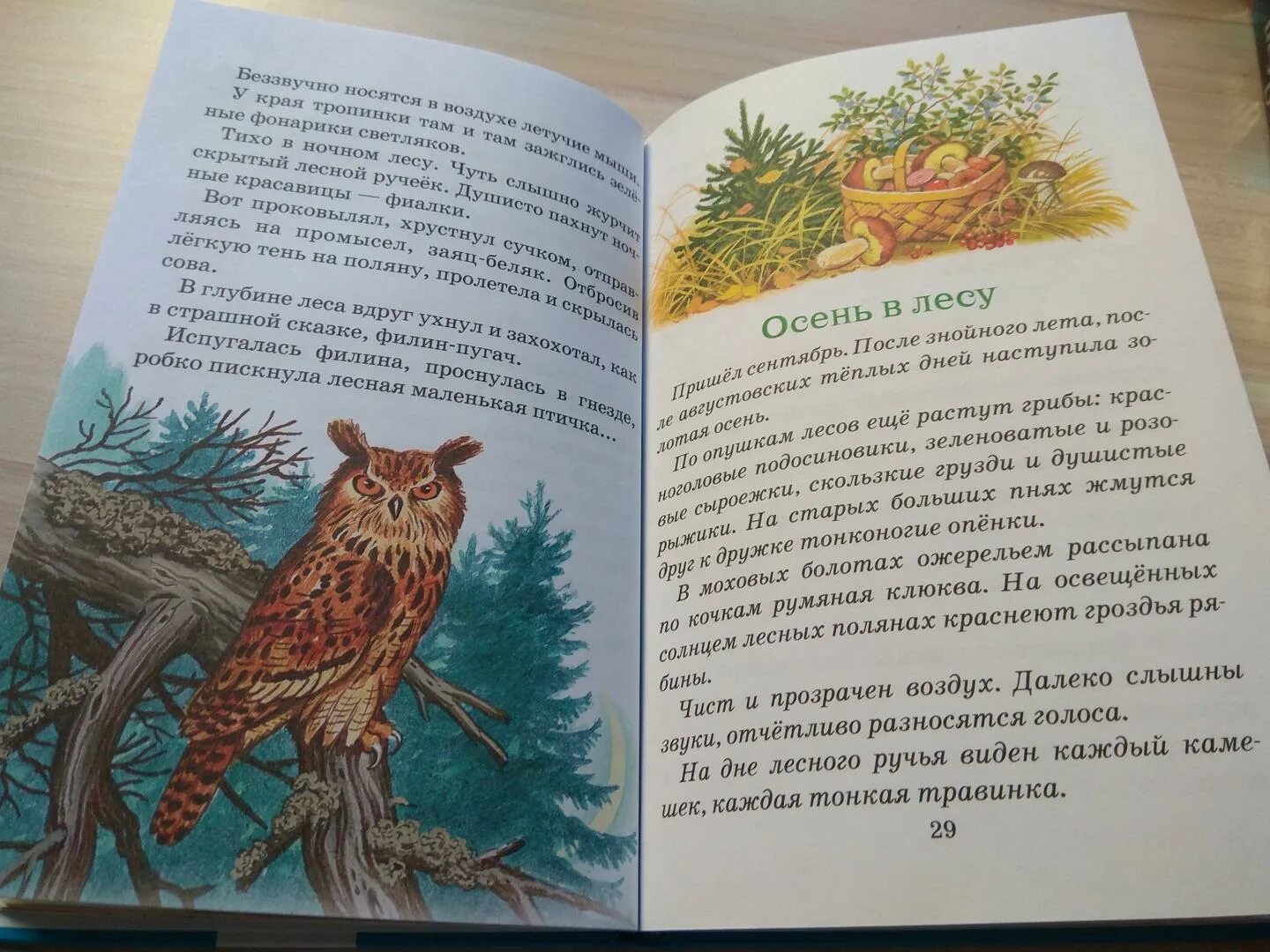 Соколов-Микитов рассказы о природе книга. Соколов-Микитов сказки о природе 3 класс. Соколов-Микитов рассказы о природе 3 класс. Соколов микитов рысь