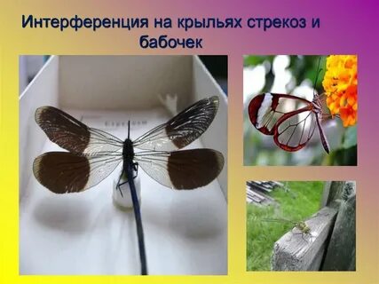 Интерференция в природе
