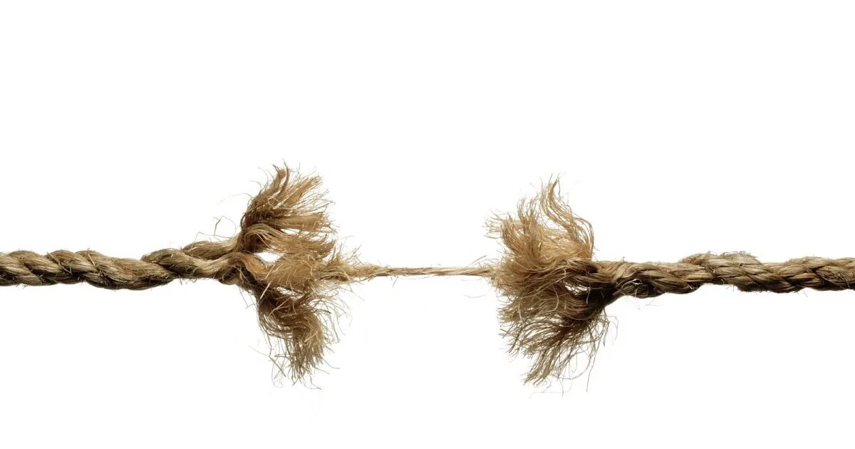 Meet on both. Девушка флиртует с парнем при всех на улице. Молодежь здоровается. Нетворкинг студенты. Withholding tax certificate это.