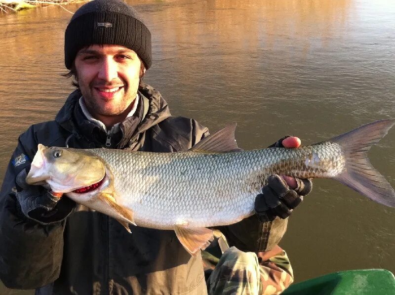 истринское водохранилище рыбалка. где водится щука. рыбалка в магнитогорске клуб рыбаки магнитки. рыбаков магнитогорск. клев в магнитогорске.
